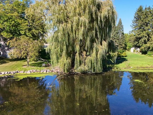 5393 Westport Road, Madison, WI 53704