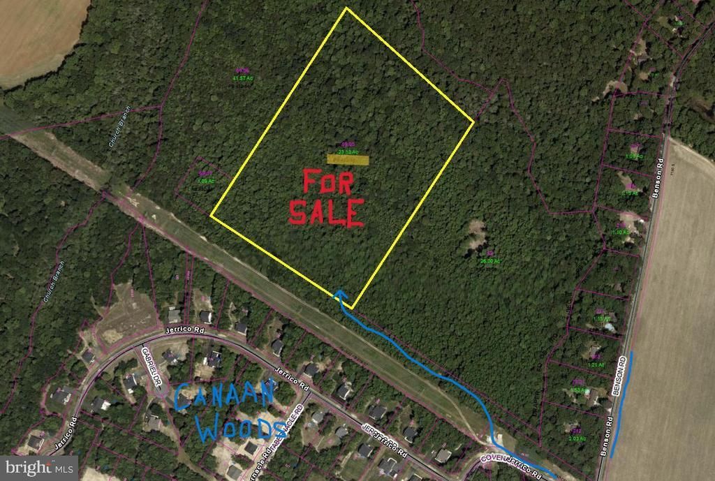 0 Benson, Lincoln, DE 19960 Main Photo