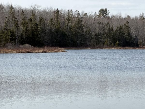 25C Guzzle Road, Gouldsboro, ME 04607