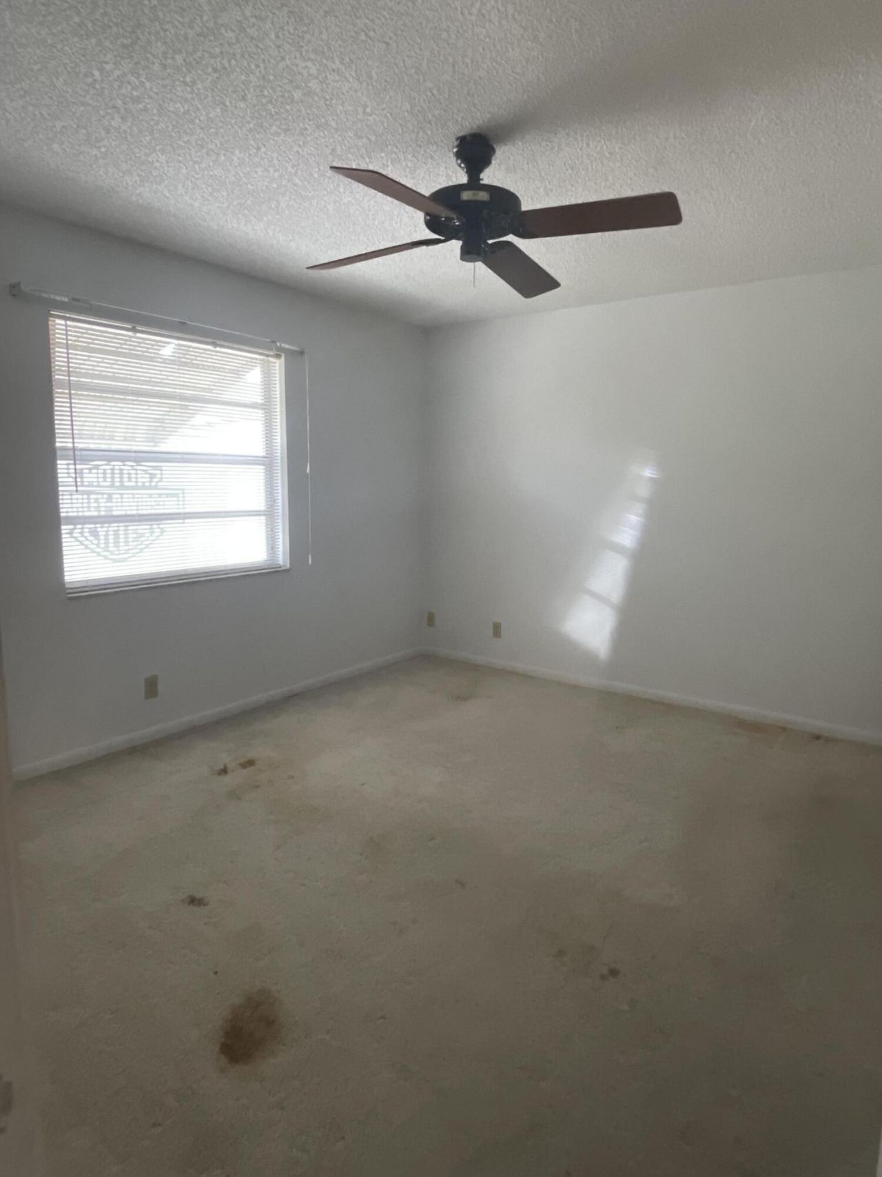 8666 Satalite Terrace, West Palm Beach, FL 33403 Photo