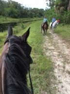 1340 Arabian Drive, Loxahatchee, FL 33470 Photo