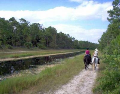 1340 Arabian Drive, Loxahatchee, FL 33470 Photo