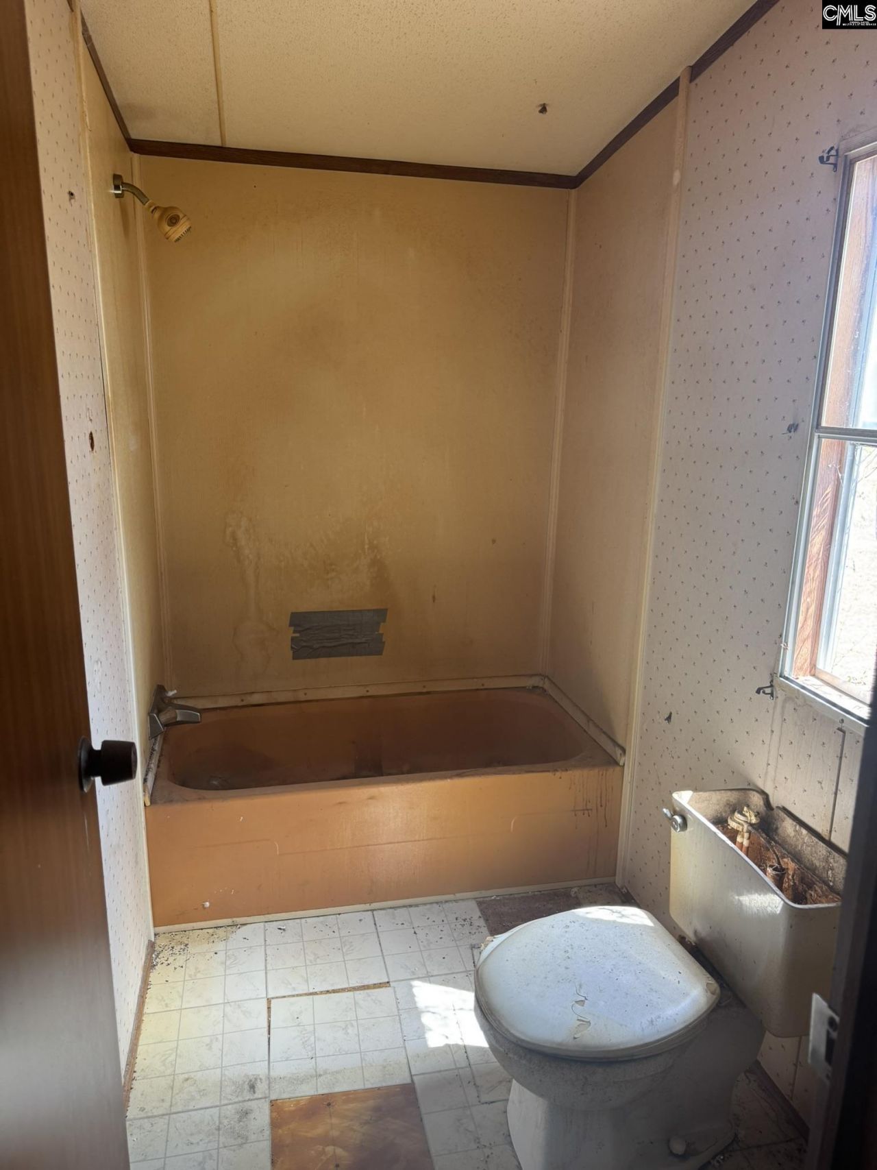 230 Ann Street  Photo 10