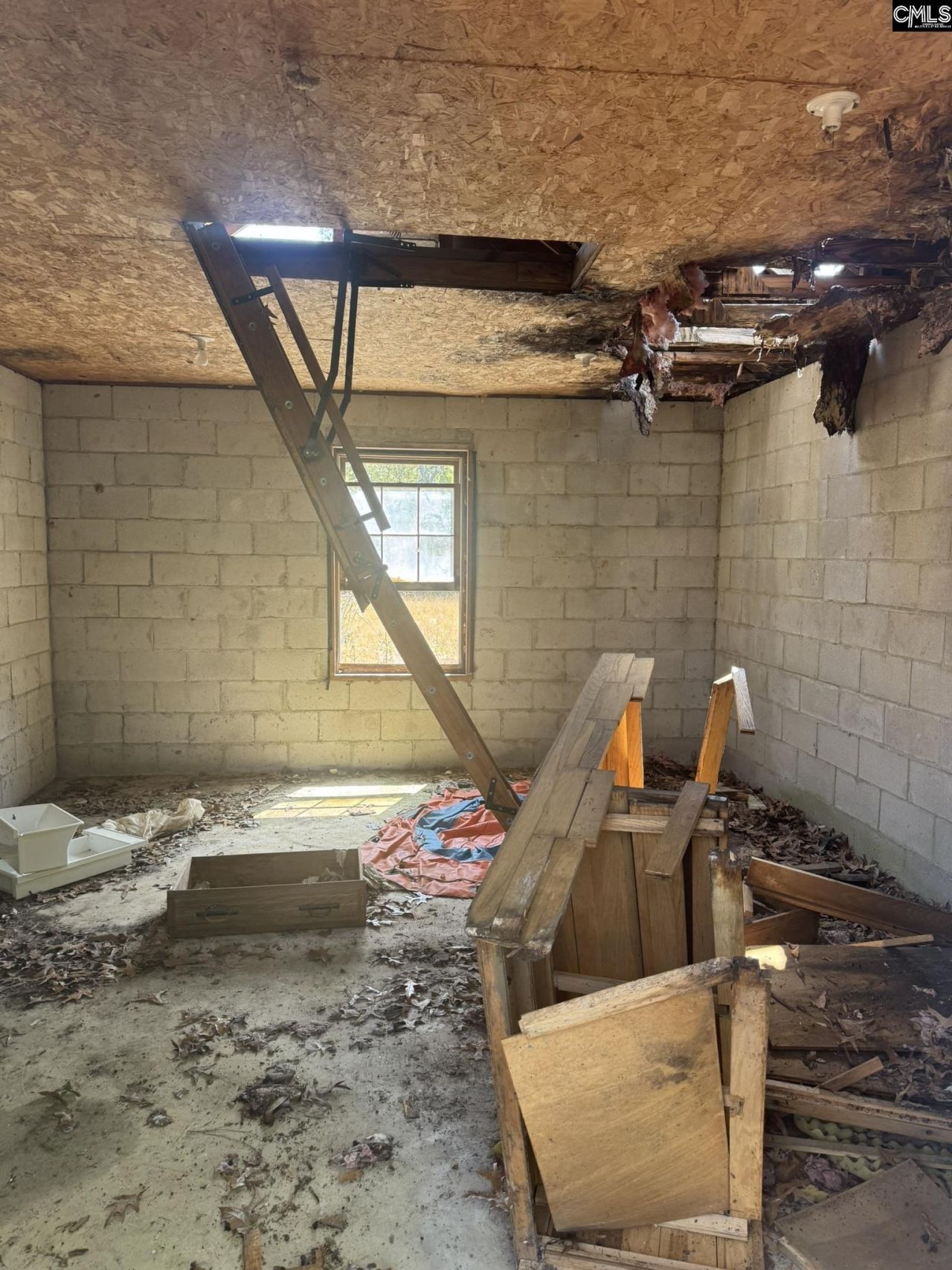 230 Ann Street  Photo 15