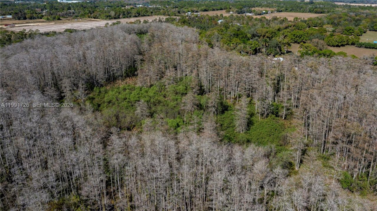 900 G Rd, La Belle, FL 33935 Photo