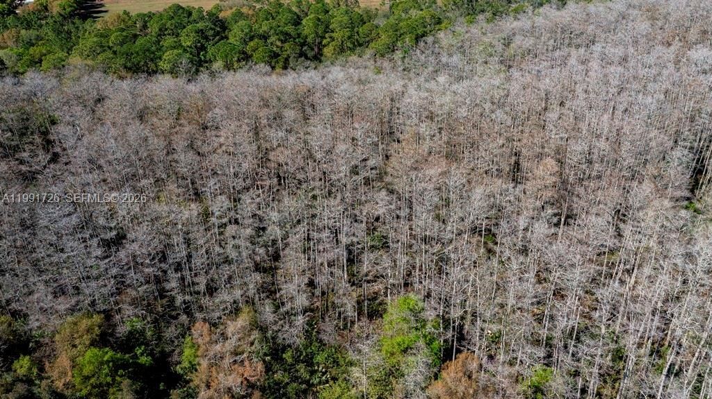 900 G Rd, La Belle, FL 33935 Photo