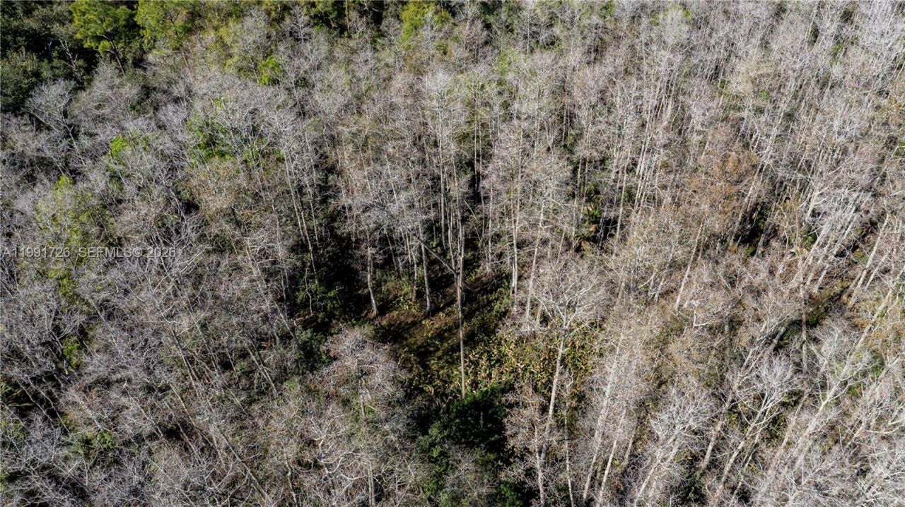 900 G Rd, La Belle, FL 33935 Photo