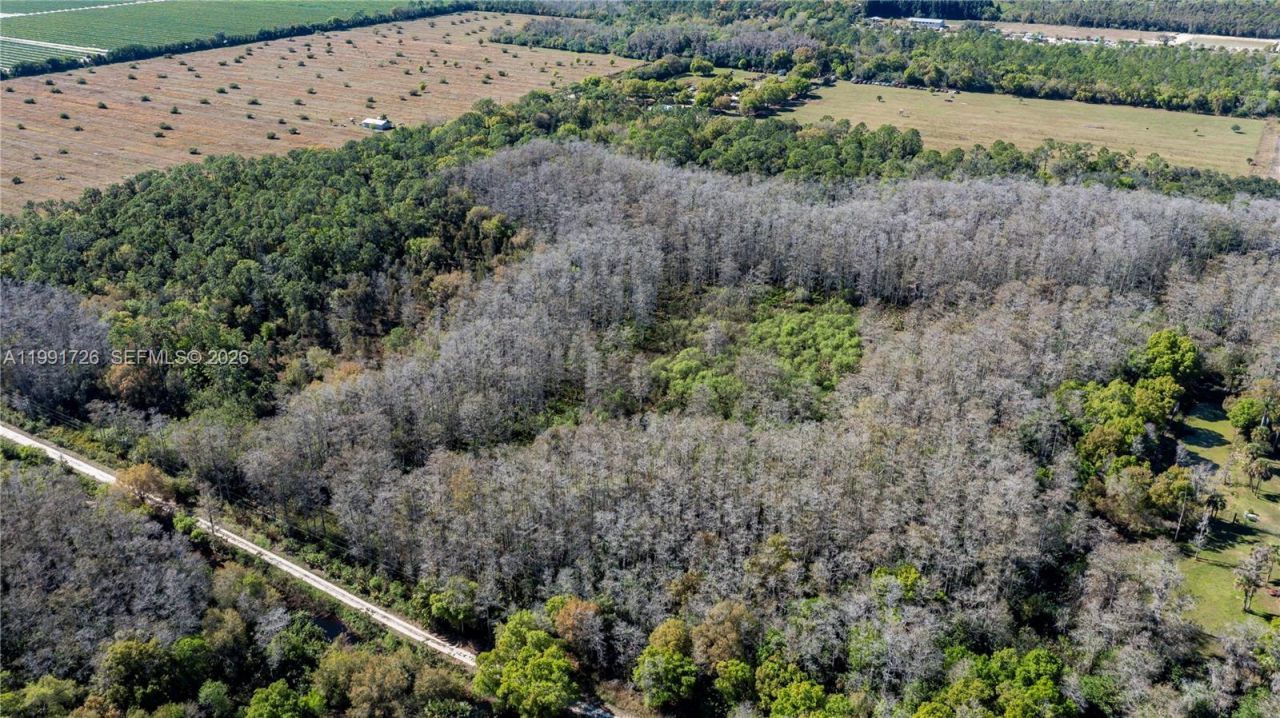 900 G Rd, La Belle, FL 33935 Photo