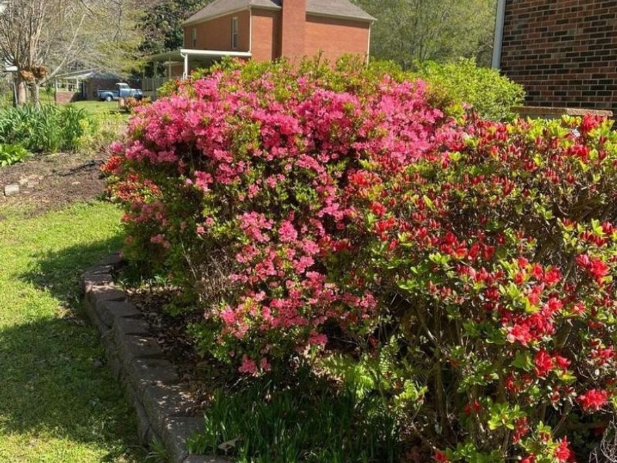 Property Image 28