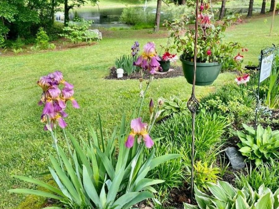 Property Image 30