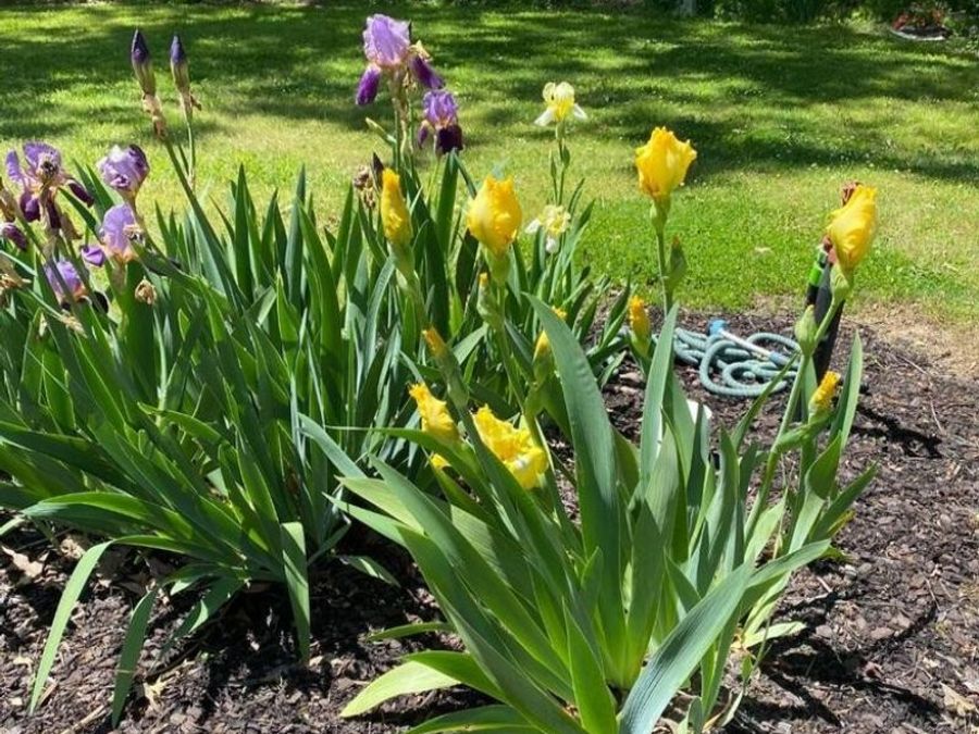 Property Image 32