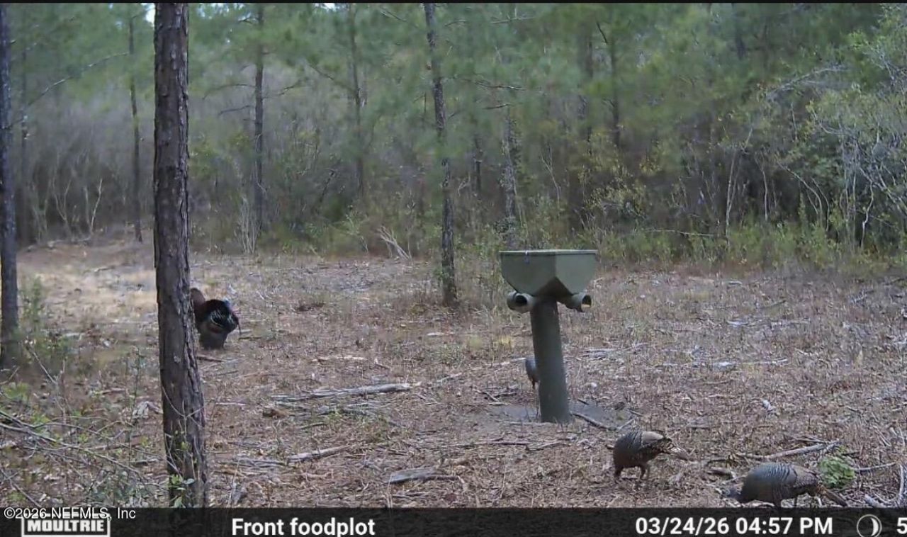 O Lazy Pines Road, Glen St. Mary, FL 32040 Photo