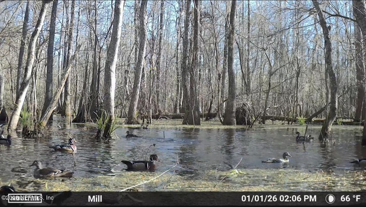 O Lazy Pines Road, Glen St. Mary, FL 32040 Photo