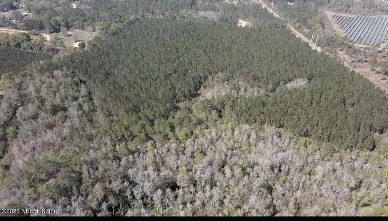 O Lazy Pines Road, Glen St. Mary, FL 32040 Photo