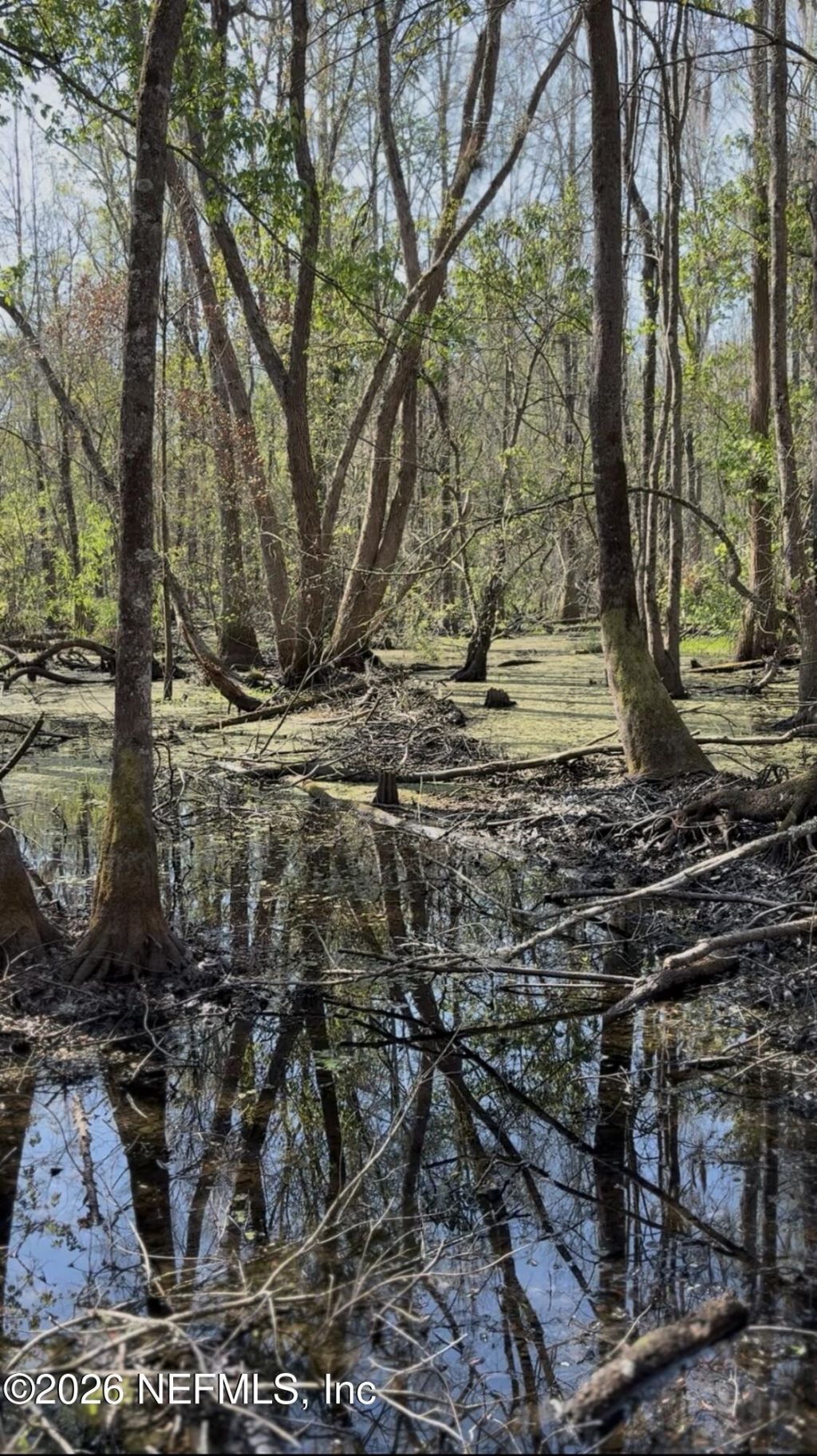 O Lazy Pines Road, Glen St. Mary, FL 32040 Photo