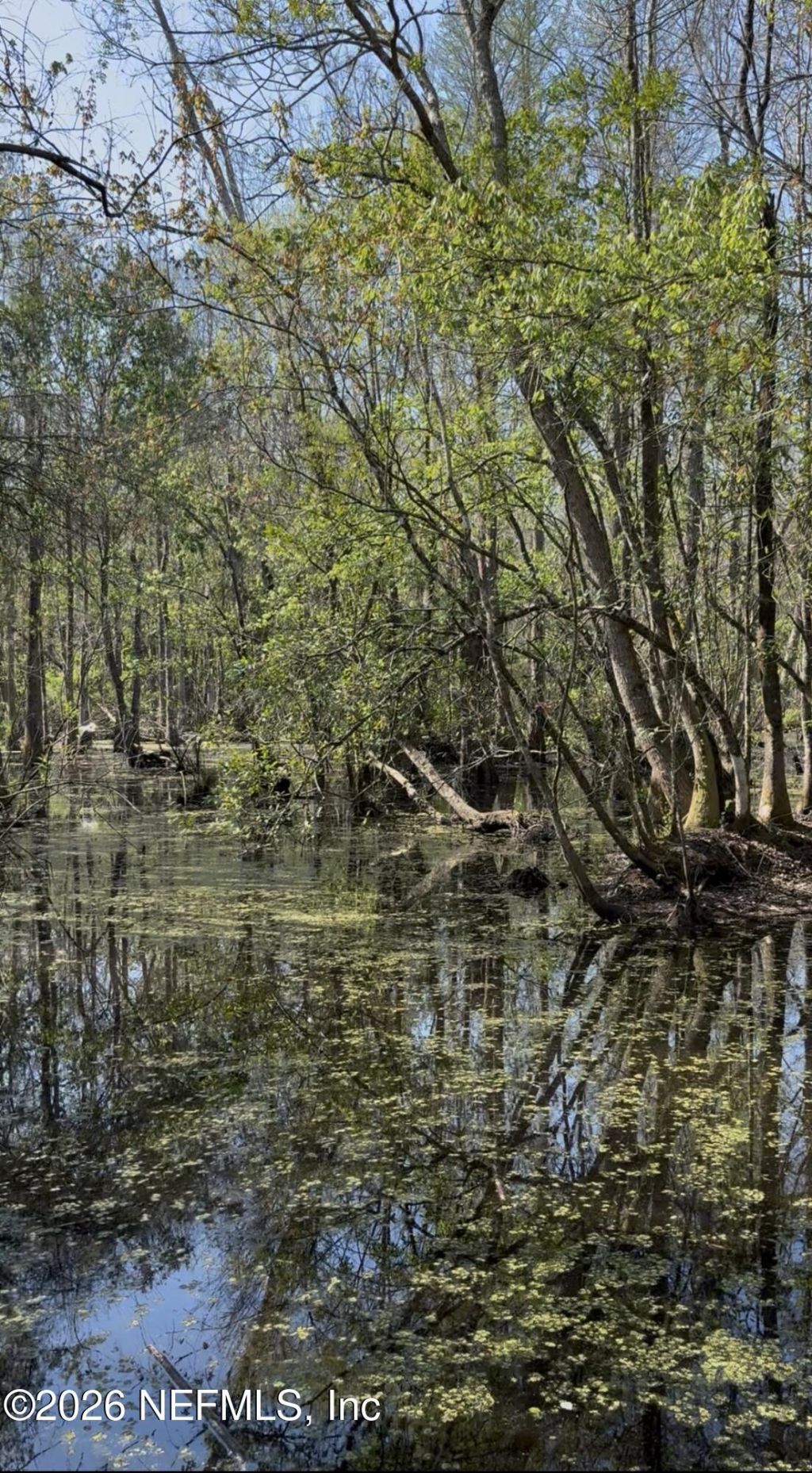 O Lazy Pines Road, Glen St. Mary, FL 32040 Photo