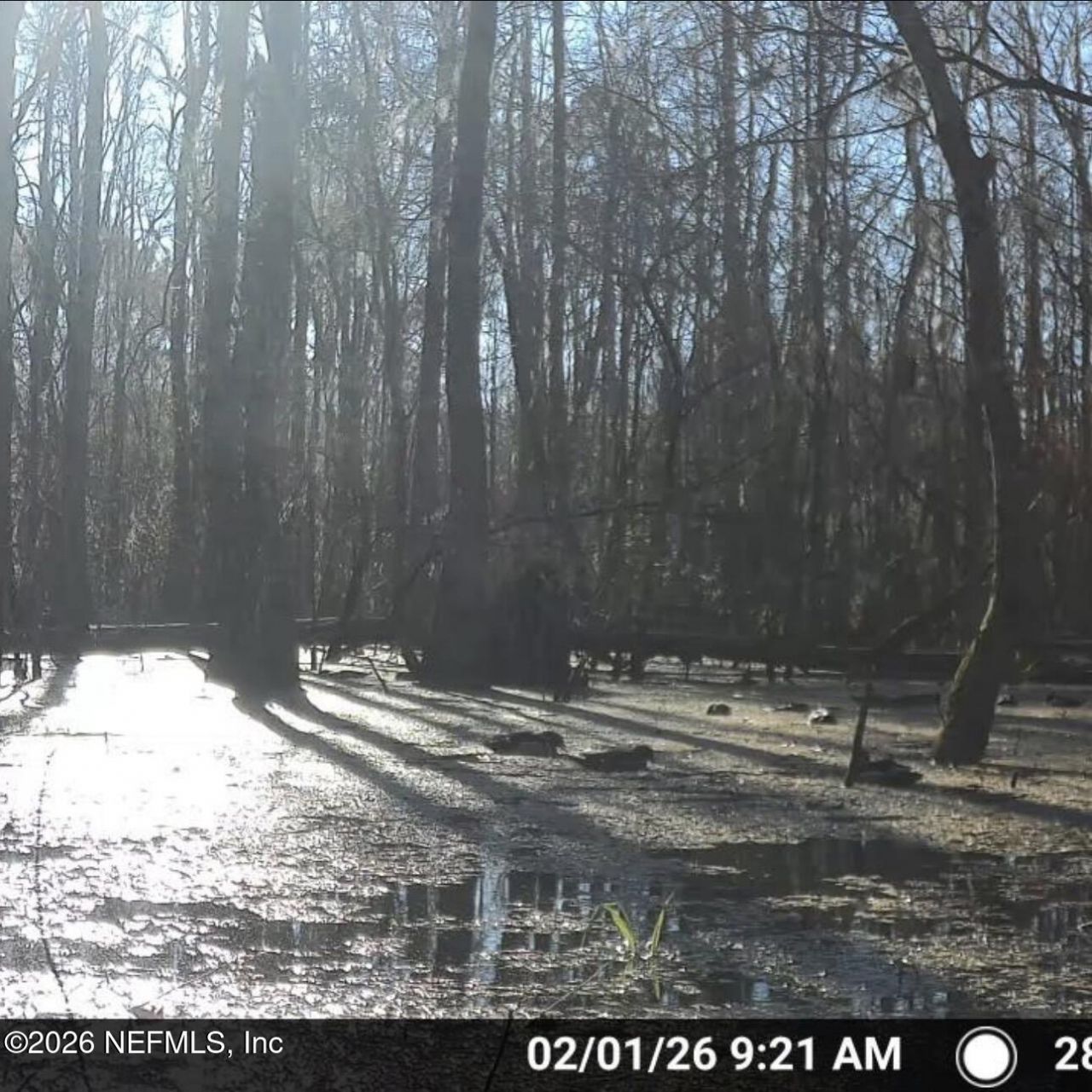 O Lazy Pines Road, Glen St. Mary, FL 32040 Photo