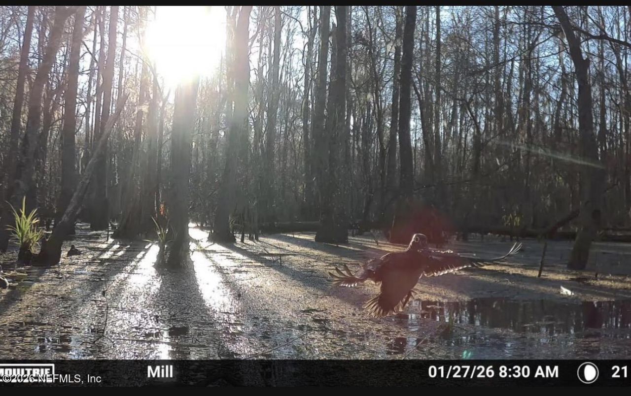 O Lazy Pines Road, Glen St. Mary, FL 32040 Photo