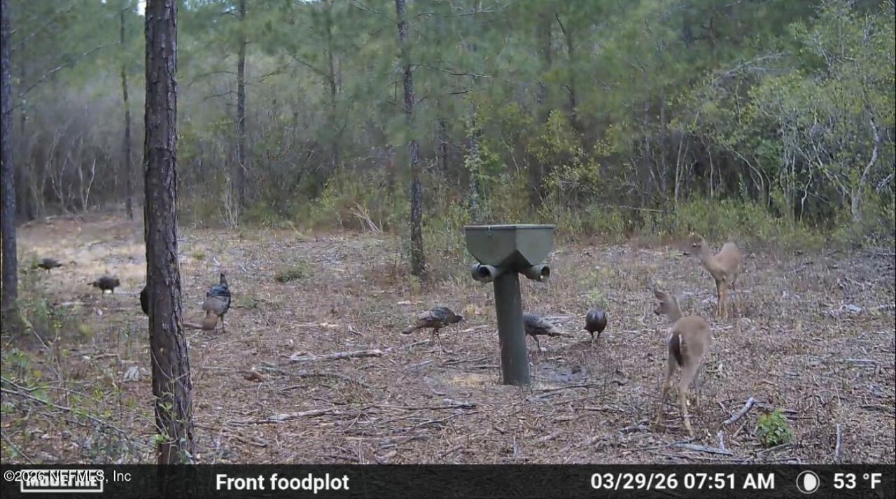 O Lazy Pines Road, Glen St. Mary, FL 32040 Photo