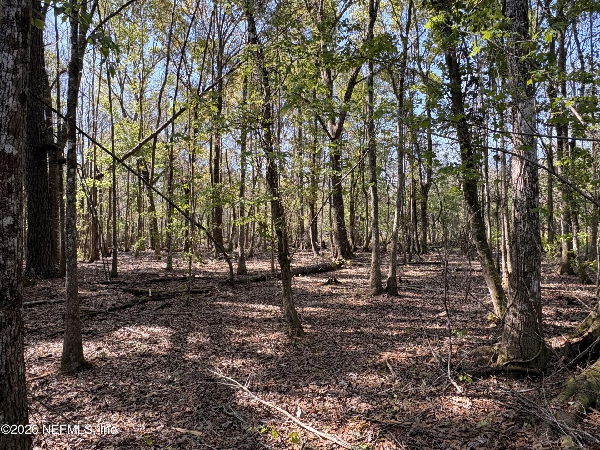 O Lazy Pines Road, Glen St. Mary, FL 32040 Photo