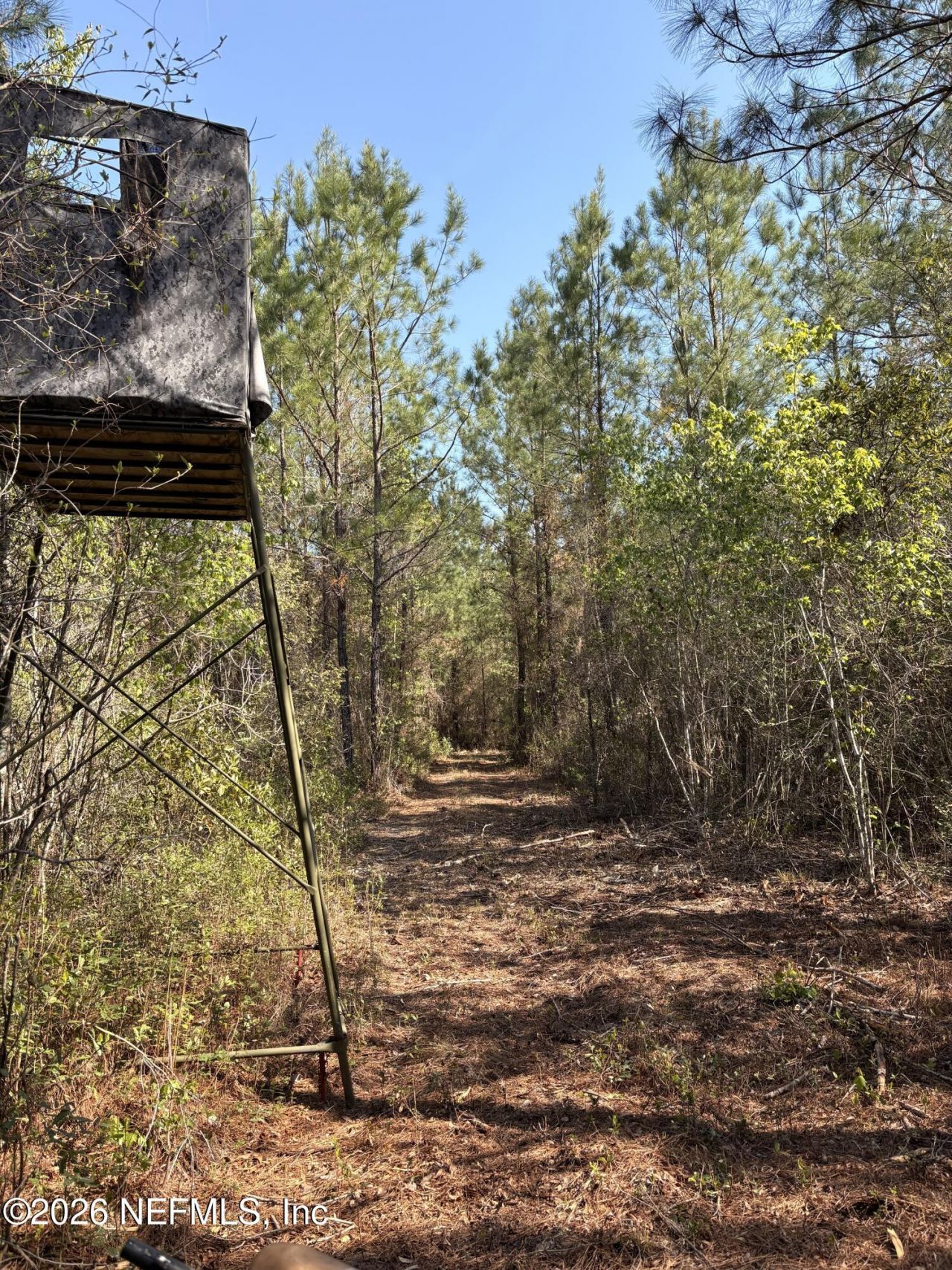 O Lazy Pines Road, Glen St. Mary, FL 32040 Photo