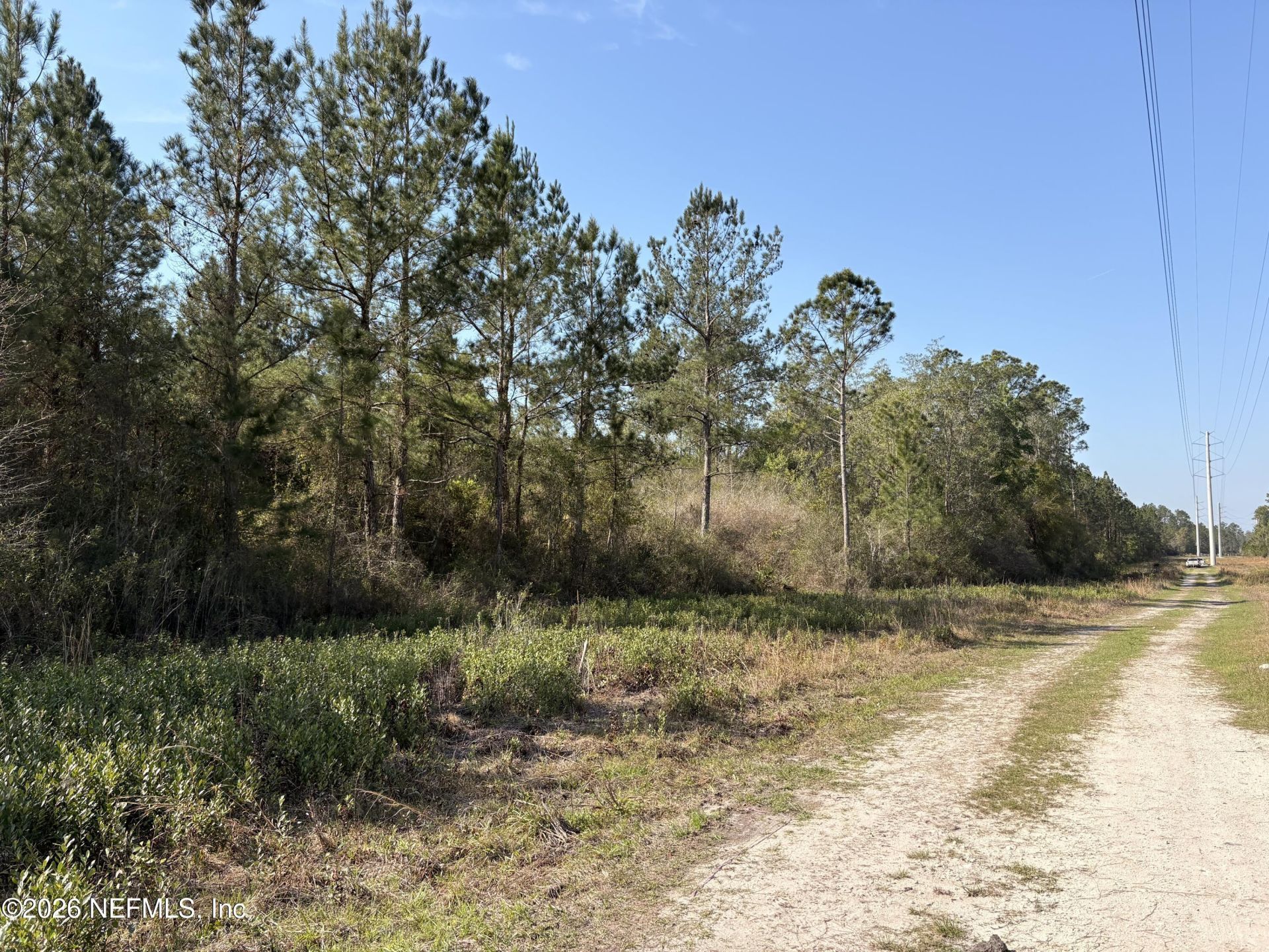 O Lazy Pines Road, Glen St. Mary, FL 32040 Photo