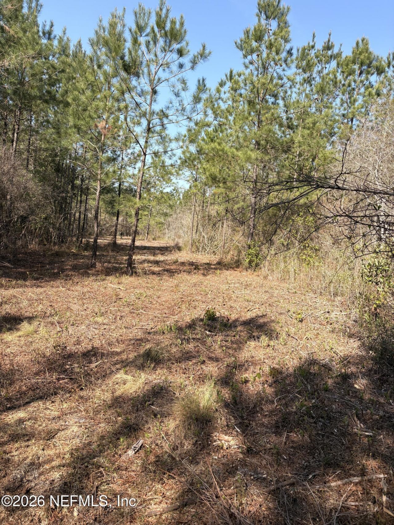 O Lazy Pines Road, Glen St. Mary, FL 32040 Photo