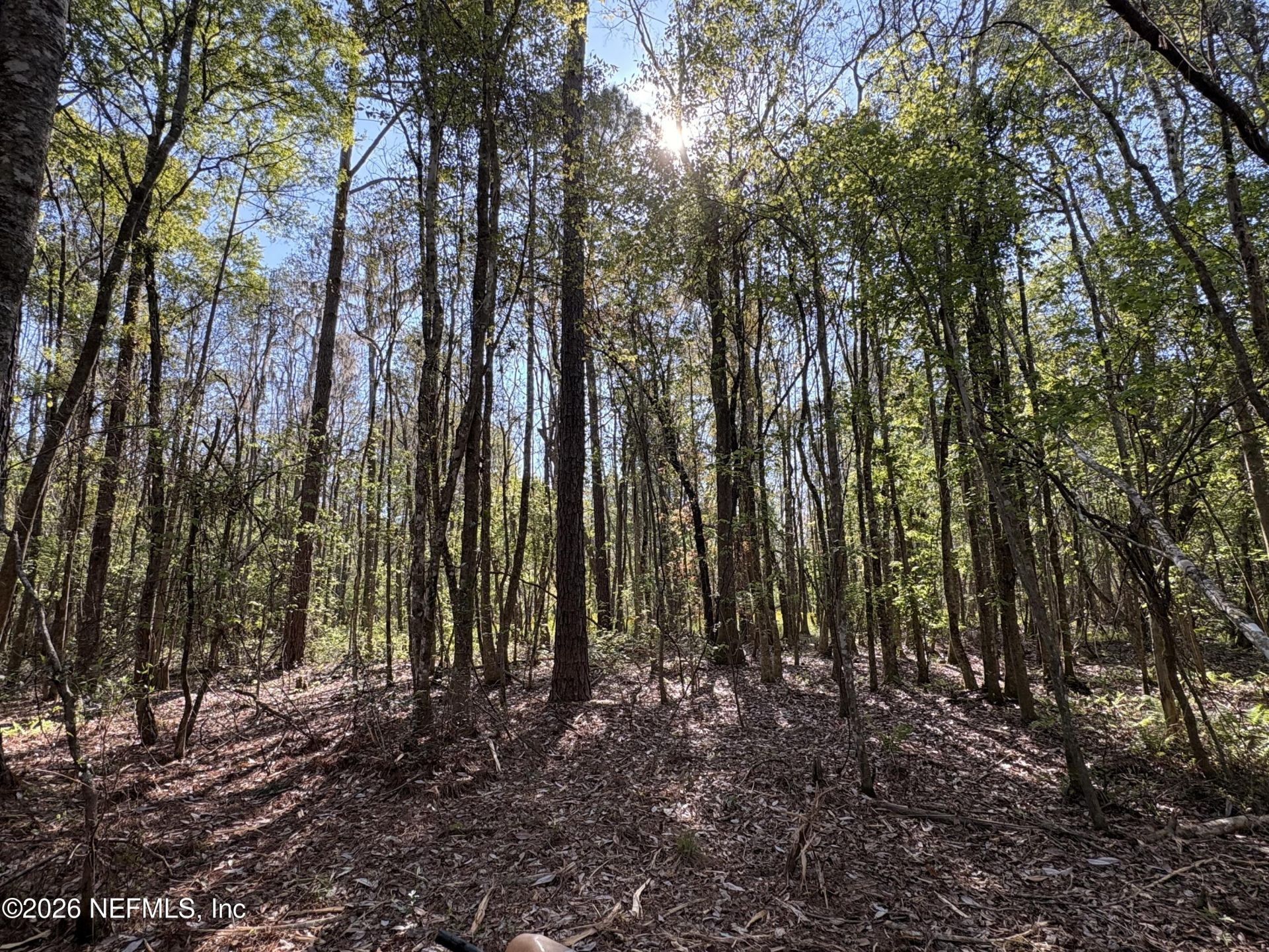 O Lazy Pines Road, Glen St. Mary, FL 32040 Photo