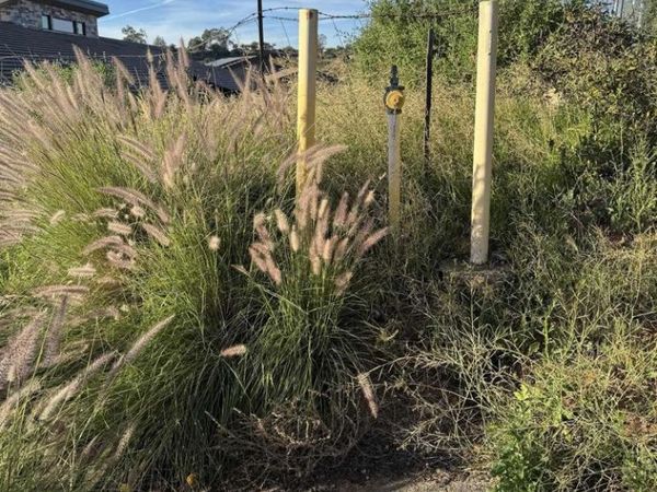 30421 Castle Crest, Valley Center, CA 92082