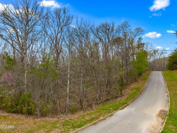 Lot 107 Turtle Dove Trail, Dandridge, TN 37725