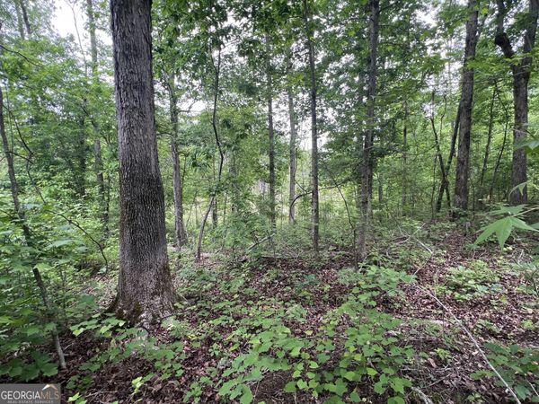 0 Bethlehem Church Road, Grantville, GA 30220