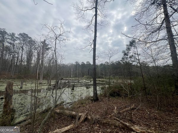 0 Bethlehem Church Road, Grantville, GA 30220