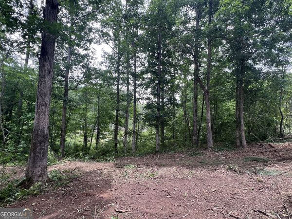 0 Bethlehem Church Road, Grantville, GA 30220