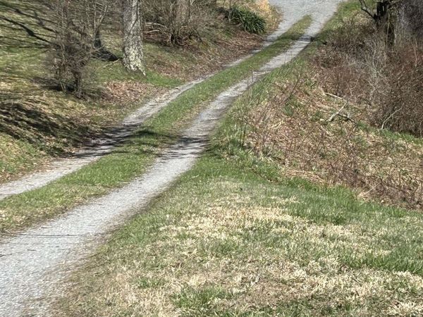 540 Cherry Run Road, Craigsville, WV 26205