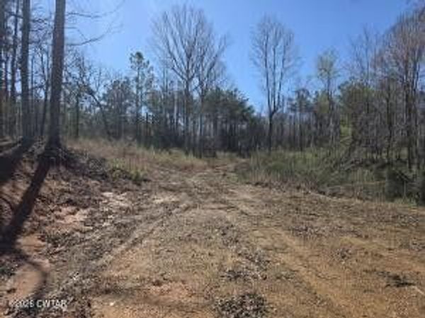 9770 State Route 100 E, Reagan, TN 38368