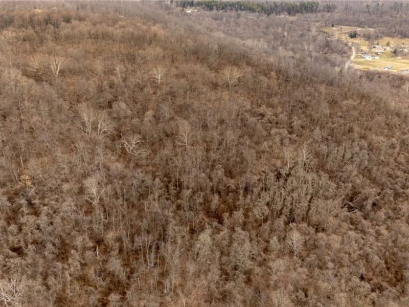 0 Mt. Victory Road, Powhatan Point, OH 43942 Photo 4