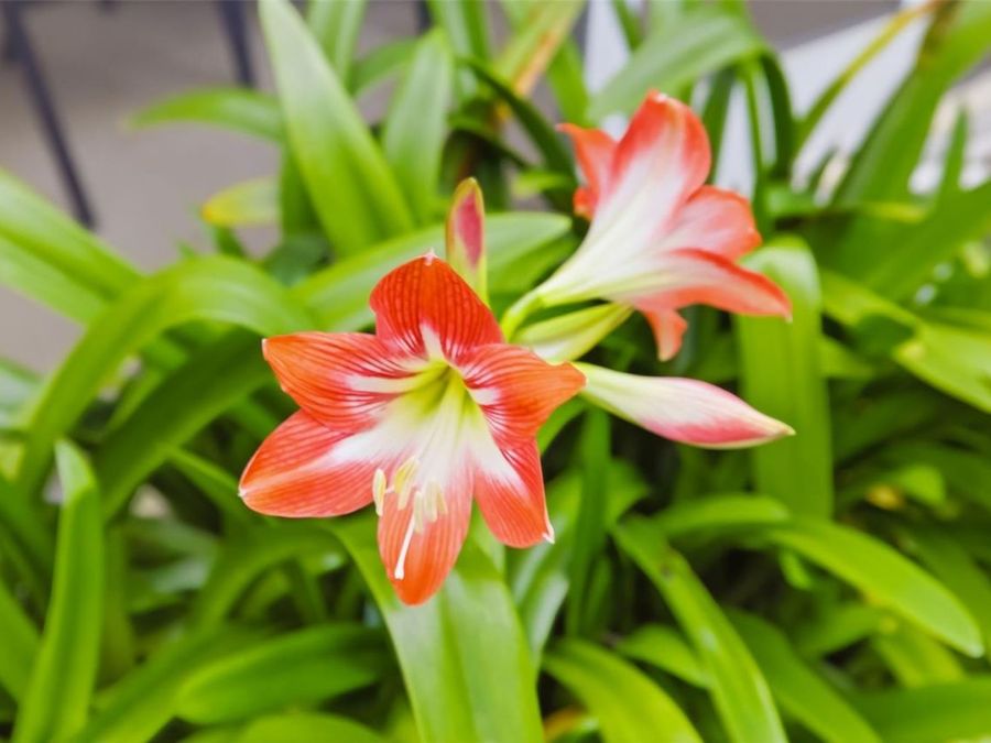 Property Image 58