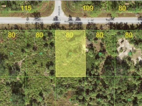 12125 COCHRAN AVENUE , PORT CHARLOTTE, FL 33981