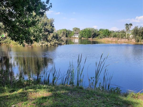 10502 HINDS PLACE, ODESSA, FL 33556