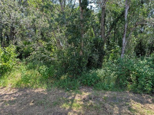 807 CARDINAL WAY , POINCIANA, FL 34759