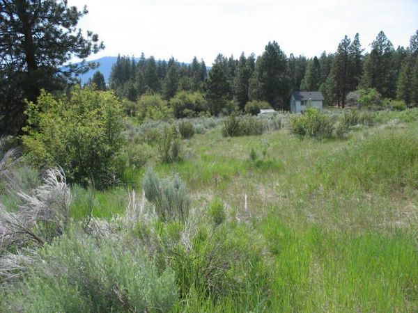 Irving Way, Unit Lot 3, Chiloquin, OR 97624