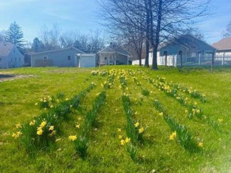 7560 Pippin Road, Colerain Township, OH 45239 Photo 27