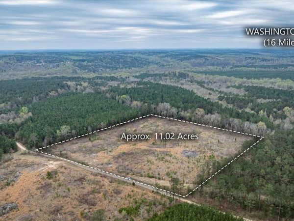 0 Fannie Matt Clark Road, Tignall, GA 30668