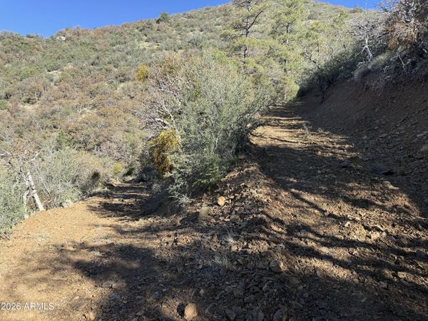 22560 S GLADIATOR MINE Road, Unit -, Crown King, AZ 86343