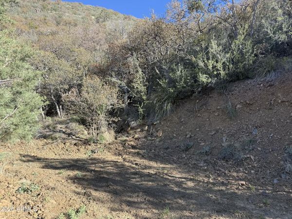 22550 S GLADIATOR MINE Road, Unit -, Crown King, AZ 86343