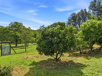 1790 Deer Valley Rd, Rescue, CA 95672 Photo