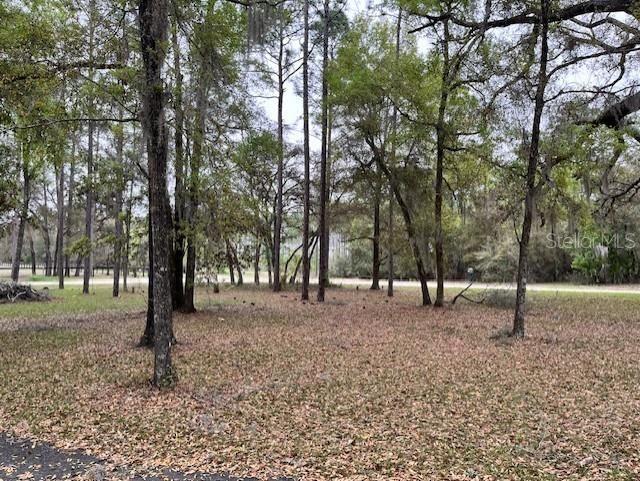 14890 SE 20th Street , Morriston, FL 32668 Photo