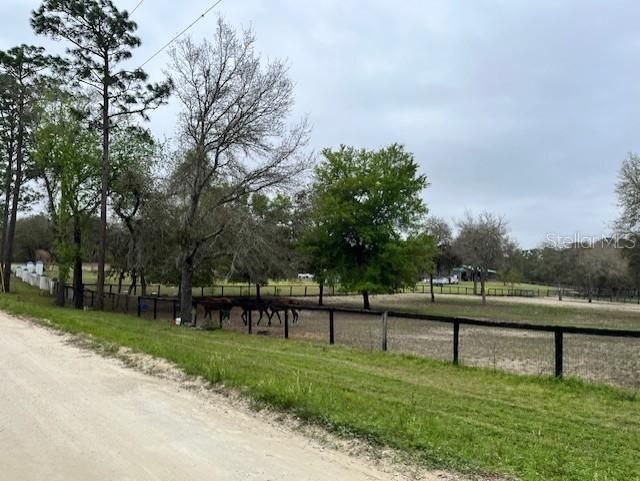 14890 SE 20th Street , Morriston, FL 32668 Photo