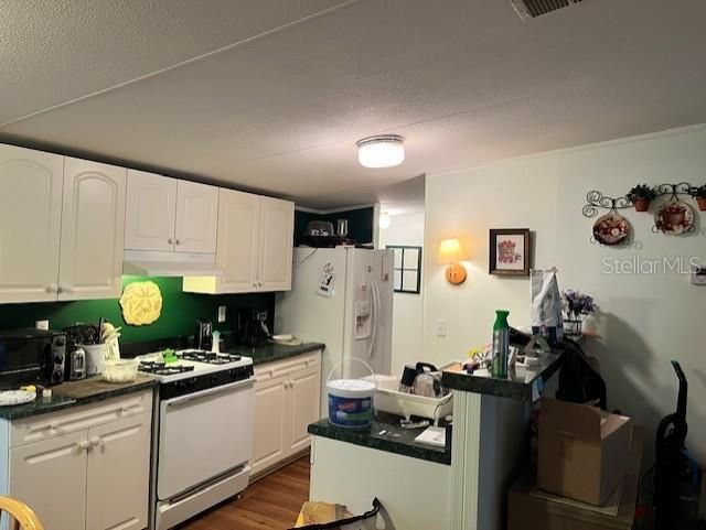 14890 SE 20th Street , Morriston, FL 32668 Photo