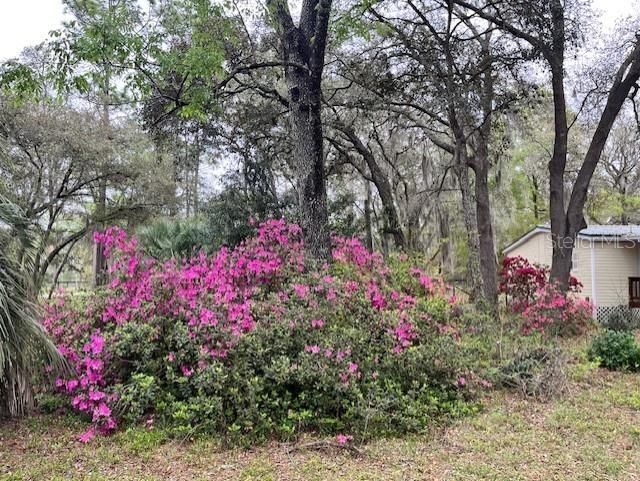 14890 SE 20th Street , Morriston, FL 32668 Photo